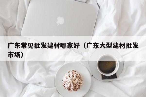 广东常见批发建材哪家好（广东大型建材批发市场）