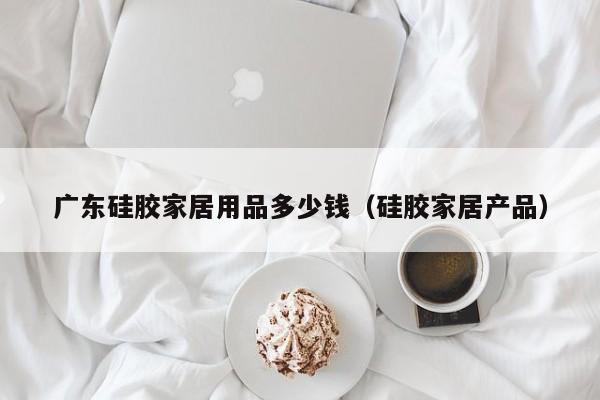 广东硅胶家居用品多少钱（硅胶家居产品）